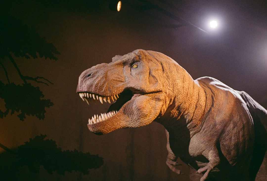 Natural History Museum